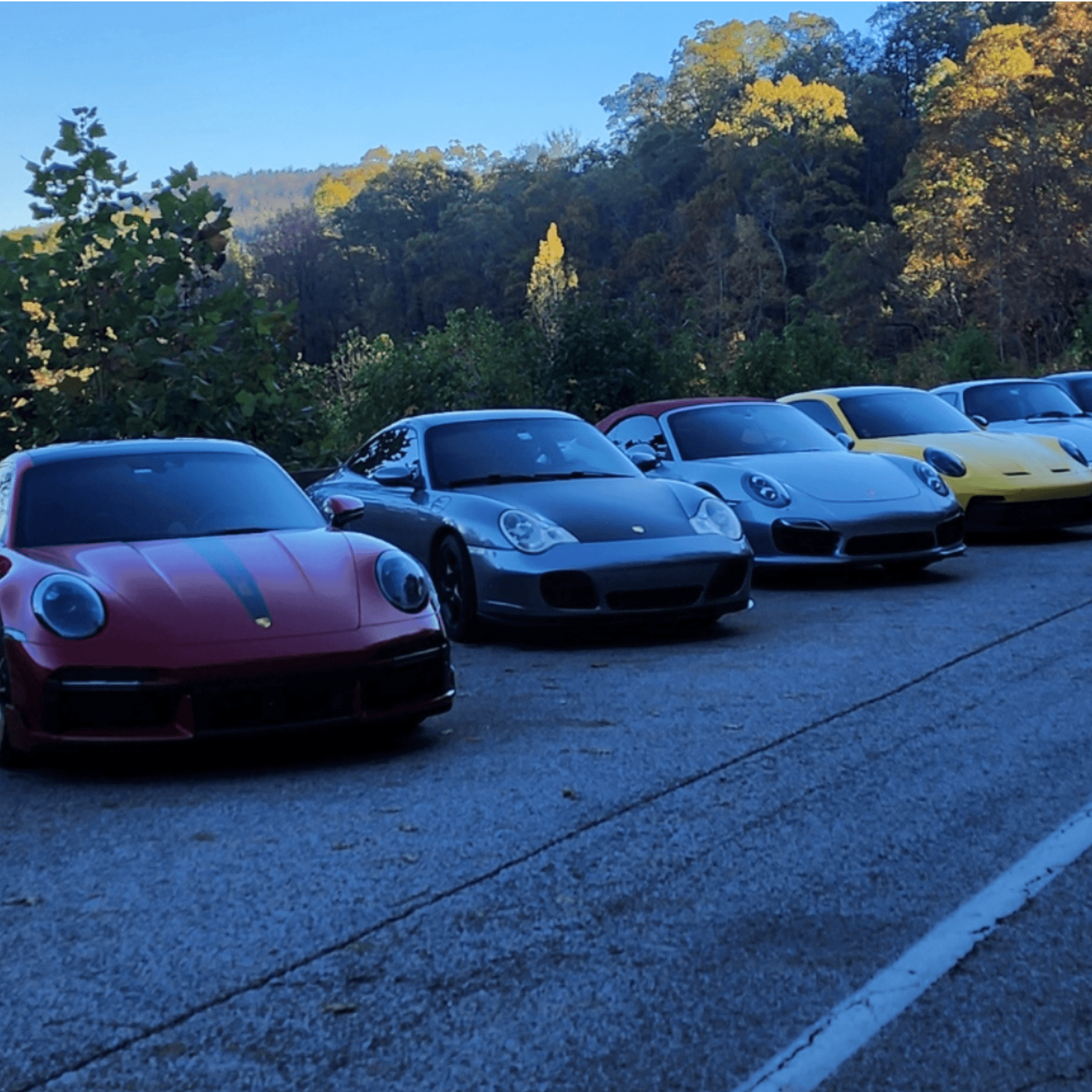 A row of 10 different colored Porsche 911's