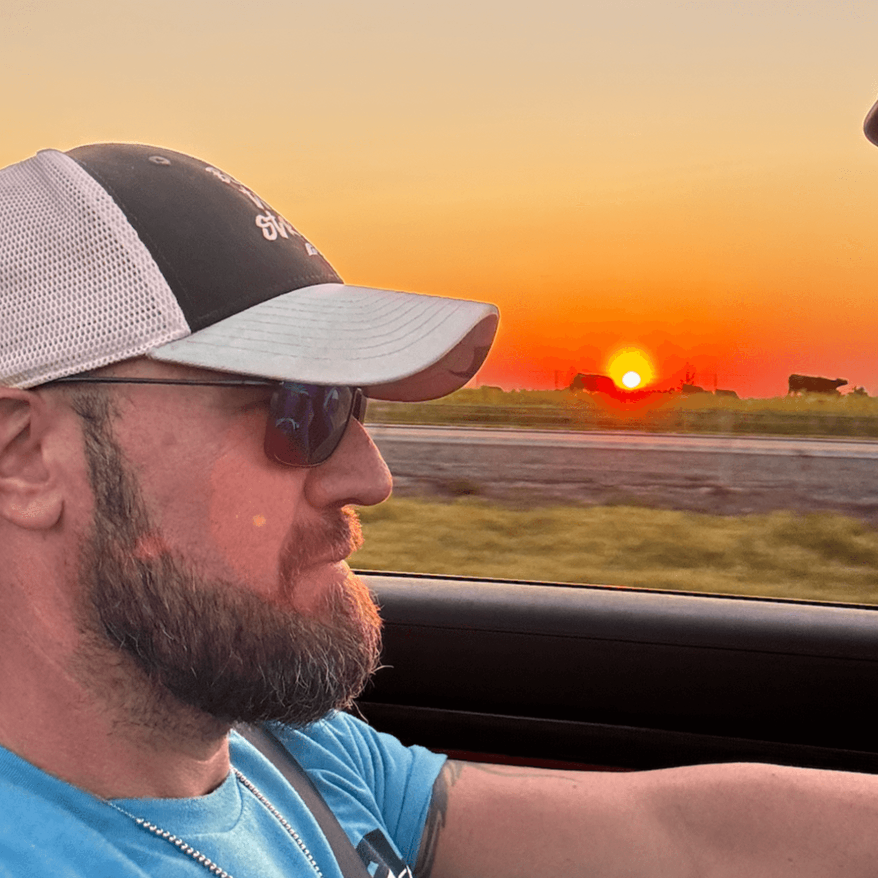 profile of man's head while driving with Oklahoma sunset and silhouettes of cattle